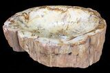 Wide Polished Petrified Wood Bowl - lbs #79200-4